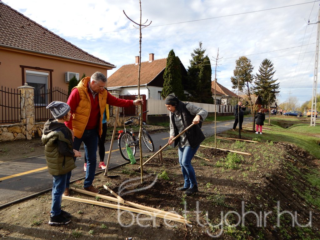 Közösségi faültetés Berettyóújfaluban 35